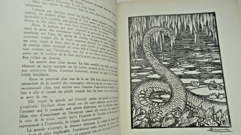 PERGAUD HISTOIRES DE BETES illustriert von Duluermoz