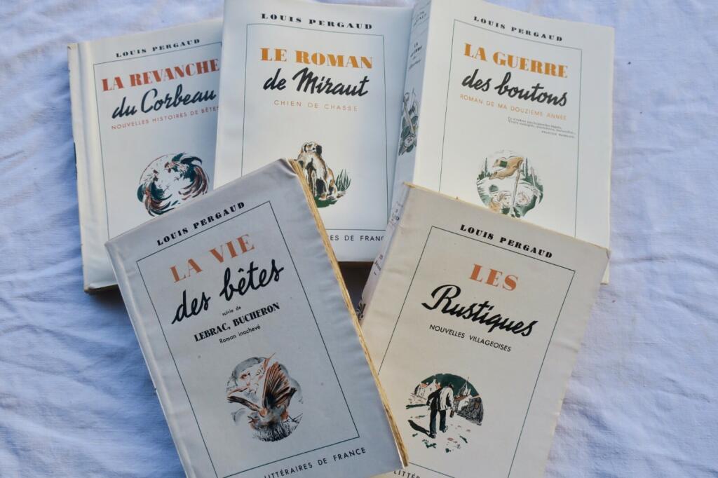 Pergaud Le roman de Miraut chien de chasse, LES RUSTIQUES – guerre des boutons..