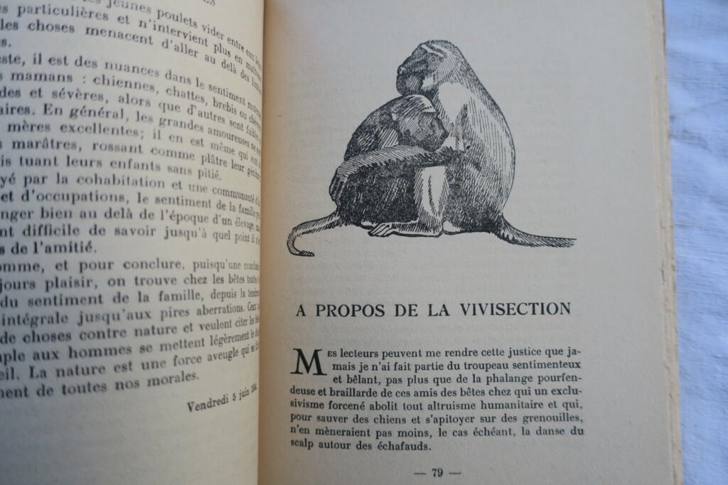 Pergaud Le roman de Miraut chien de chasse, LES RUSTIQUES – guerre des boutons..