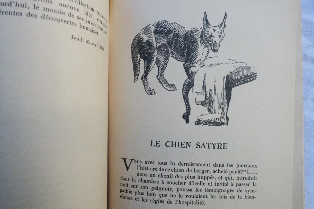 Pergaud Le roman de Miraut chien de chasse, LES RUSTIQUES – guerre des boutons..