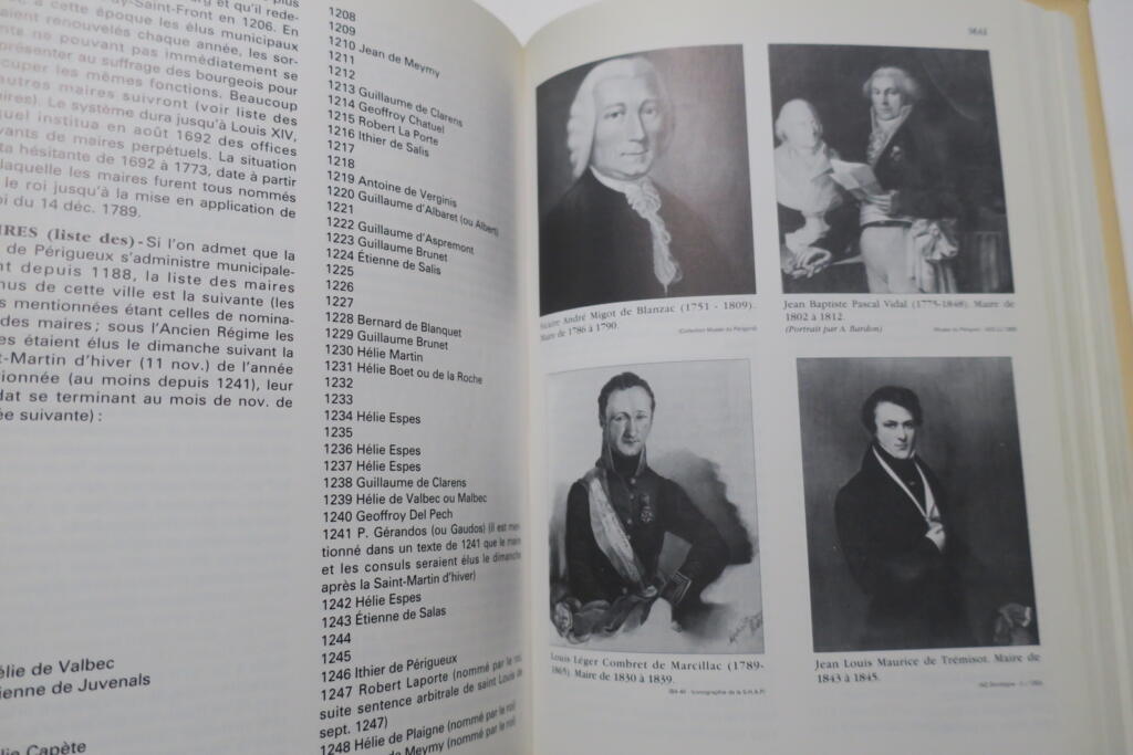 Umfassendes Geschichtsbuch Périgueux