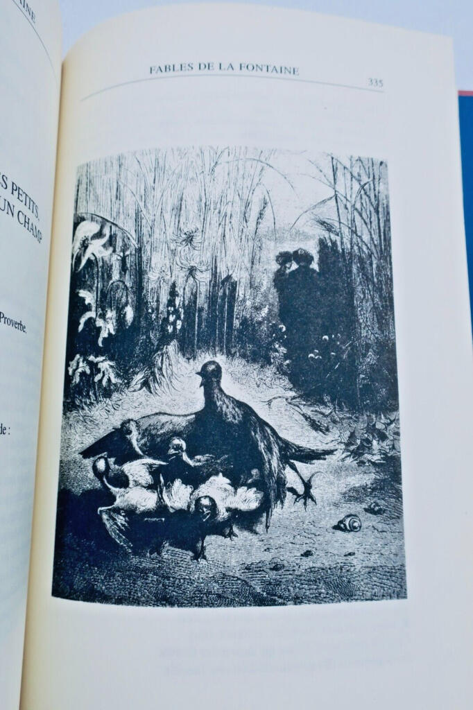 Märchen und Fabeln Sammlung