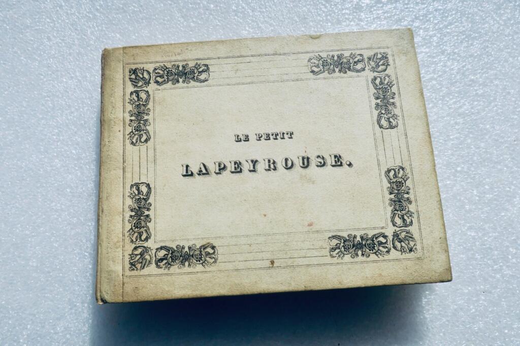 Young Lapérouse's Adventures