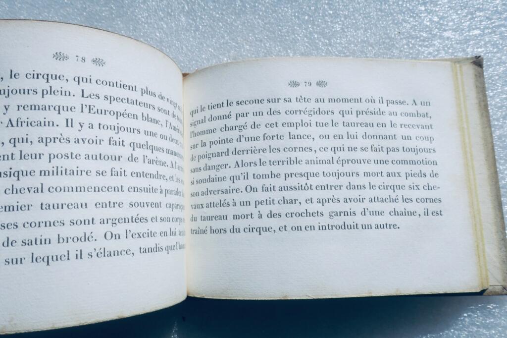 Young Lapérouse's Adventures