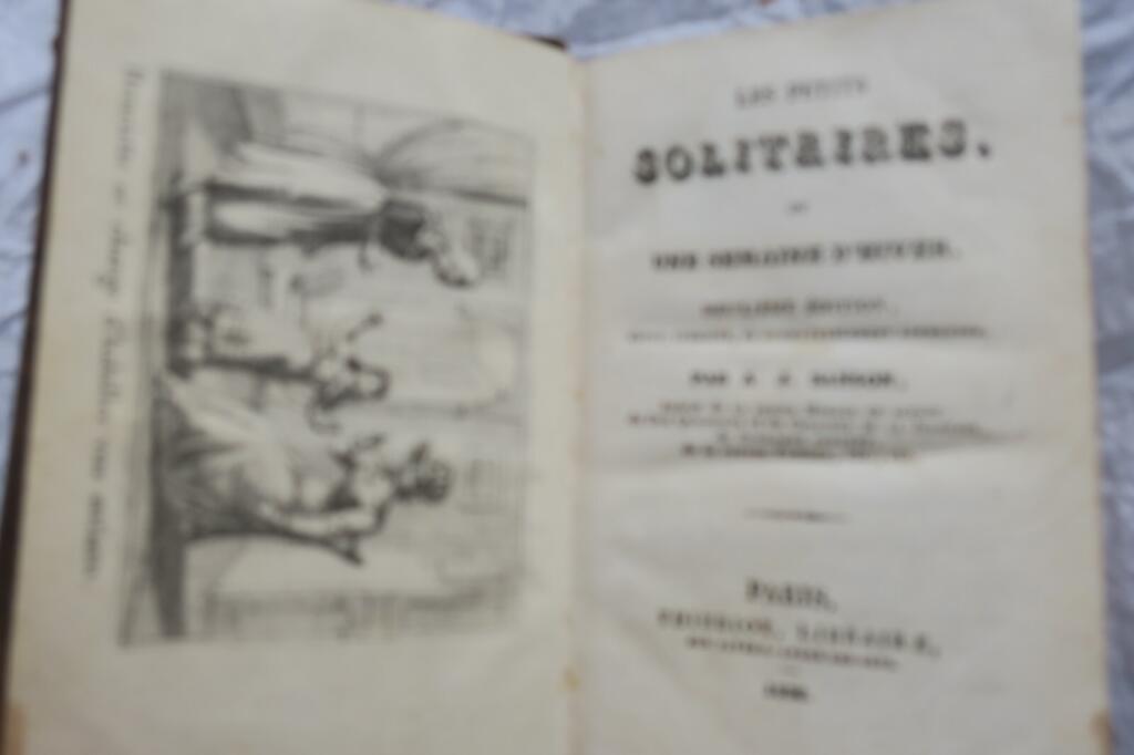 petits solitaires ou une semaine d&rsquo;hiver 1836