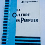 Peuplier La culture du peuplier
