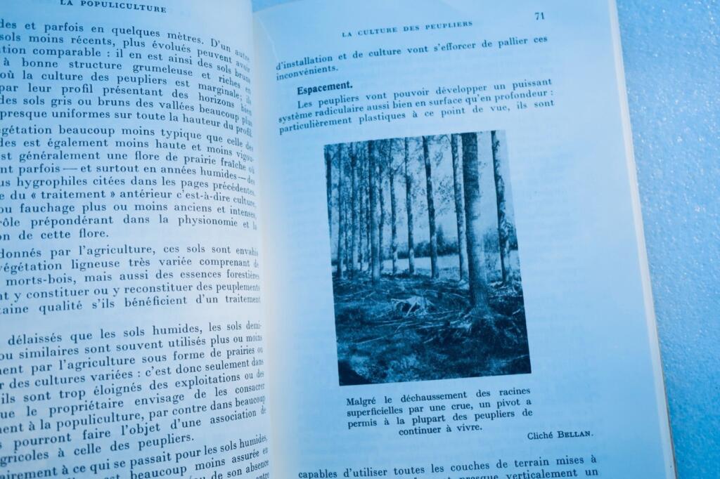 Poplar cultivation manual with illustrations