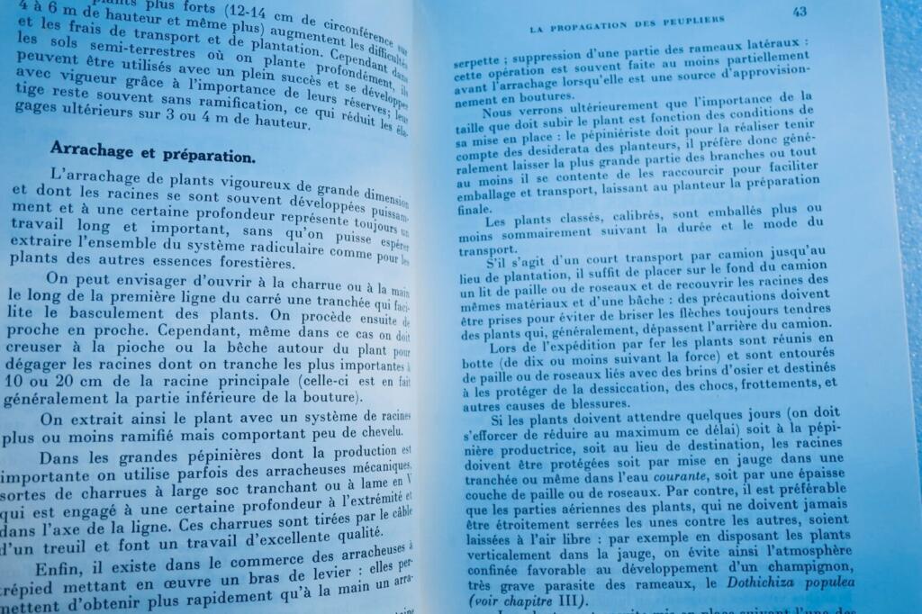 Poplar cultivation manual with illustrations