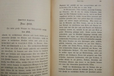 Praktische Pflanzenkunde für Handel und Haushalt