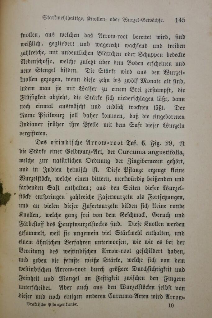 Praktischer Leitfaden zu nützlichen Pflanzen