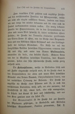 Praktische Pflanzenkunde für Handel und Haushalt