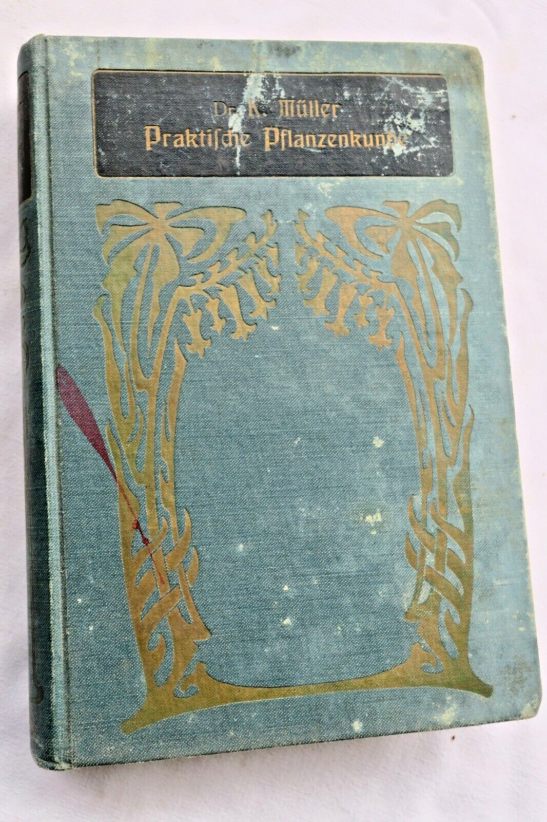 Pflanzen Praktische Pflanzenkunde für Handel, Gewerbe und Hauswirtschaft 1900 - La Librairie Antique