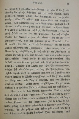 Praktische Pflanzenkunde für Handel und Haushalt