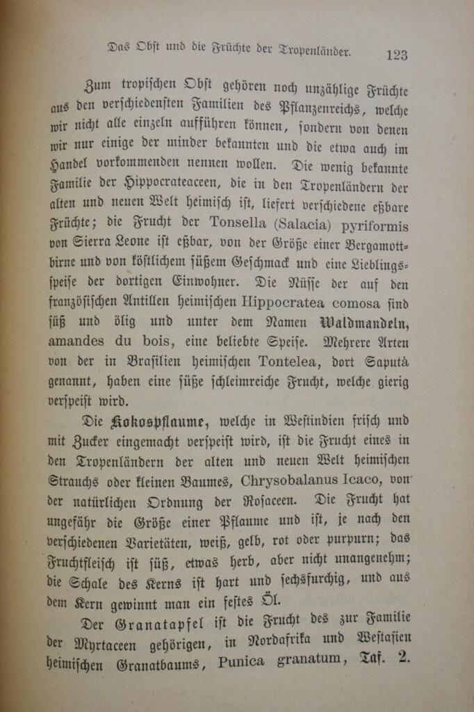 Praktischer Leitfaden zu nützlichen Pflanzen
