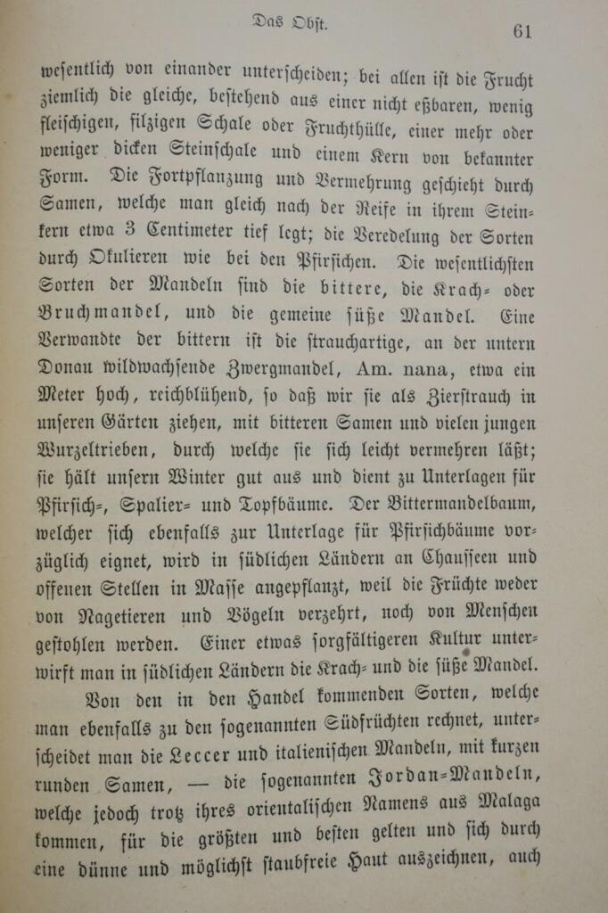 Praktischer Leitfaden zu nützlichen Pflanzen