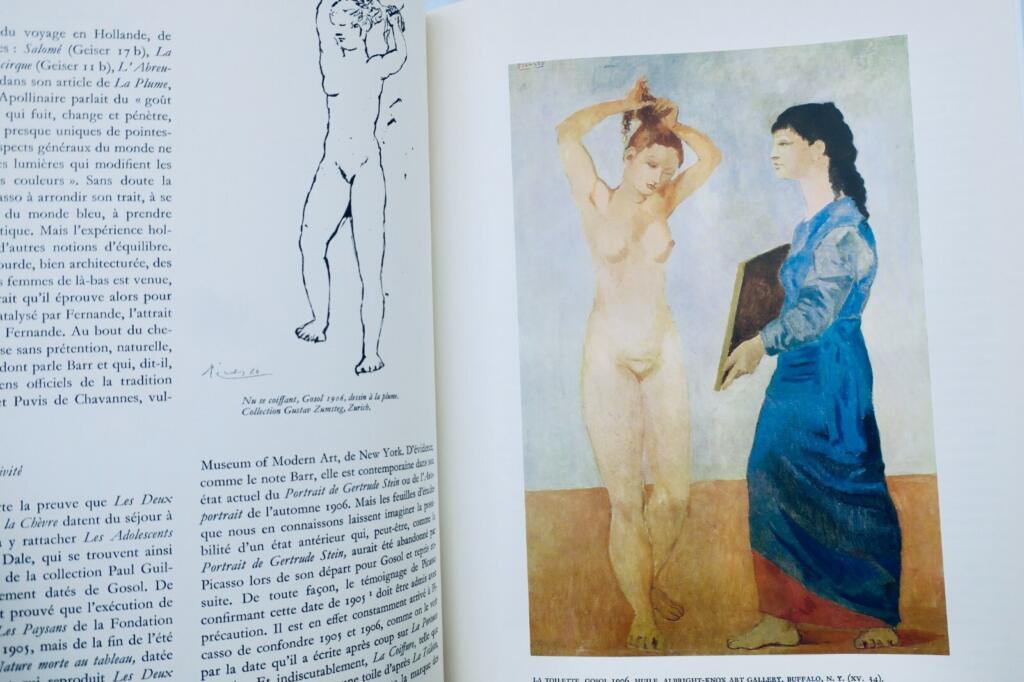 PICASSO 1900-1906: catalogue raisonné de l’oeuvre peint