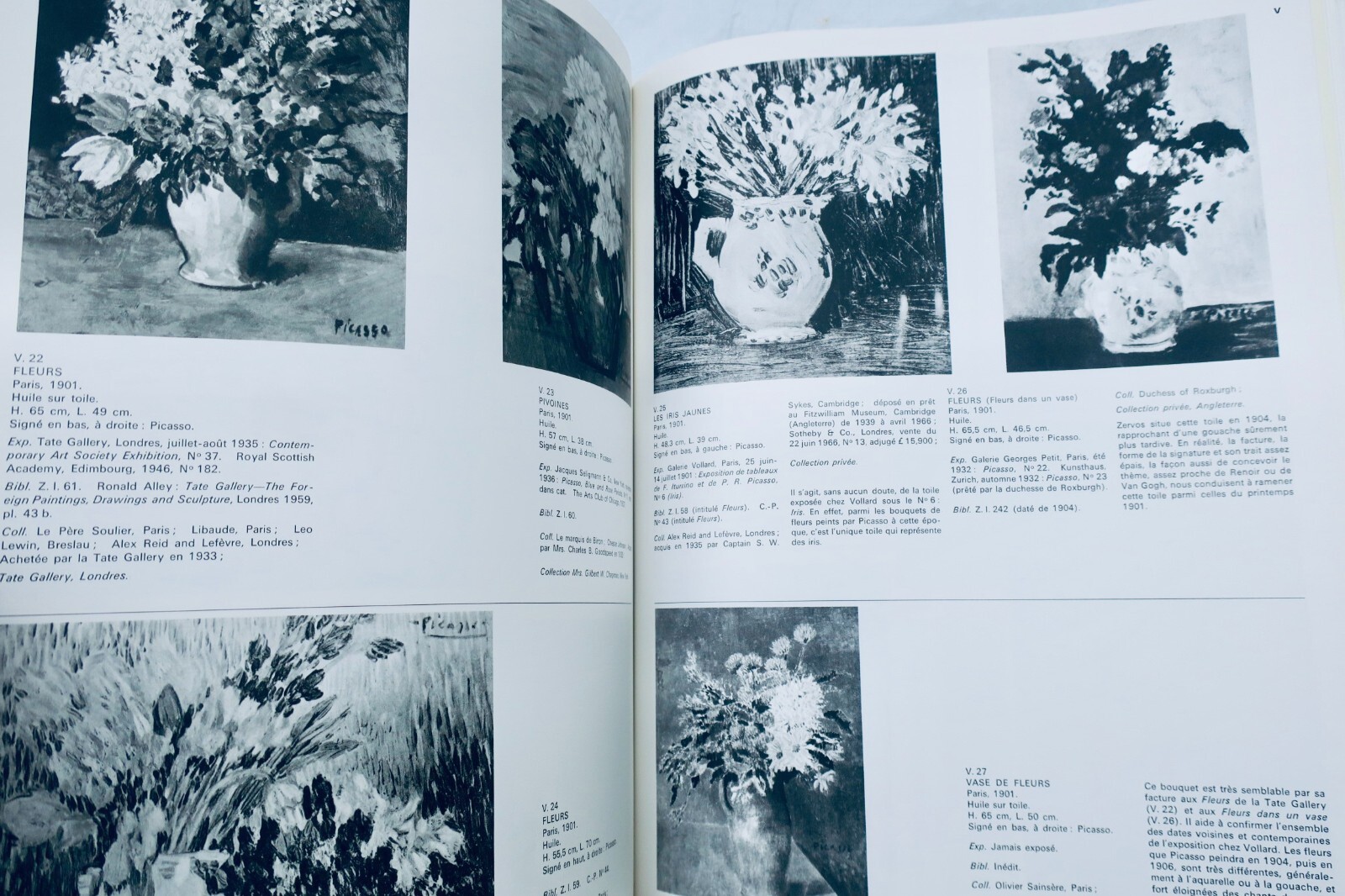 Umfassender Katalog von Picassos frühen Werken - Image 3