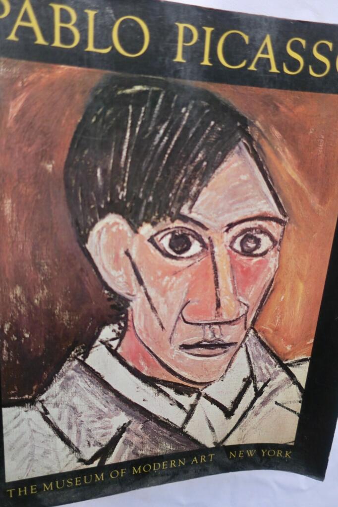 Ein Überblick über Picassos Werk