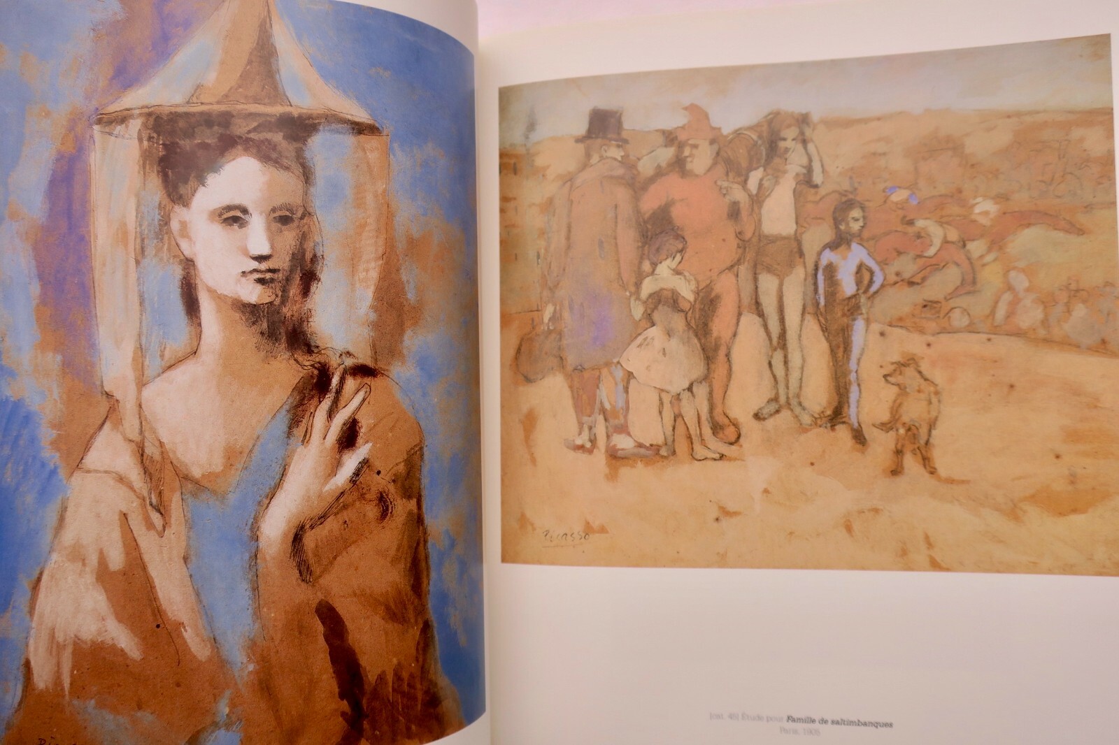 Exhibition catalog on Picasso and circus arts - Image 4