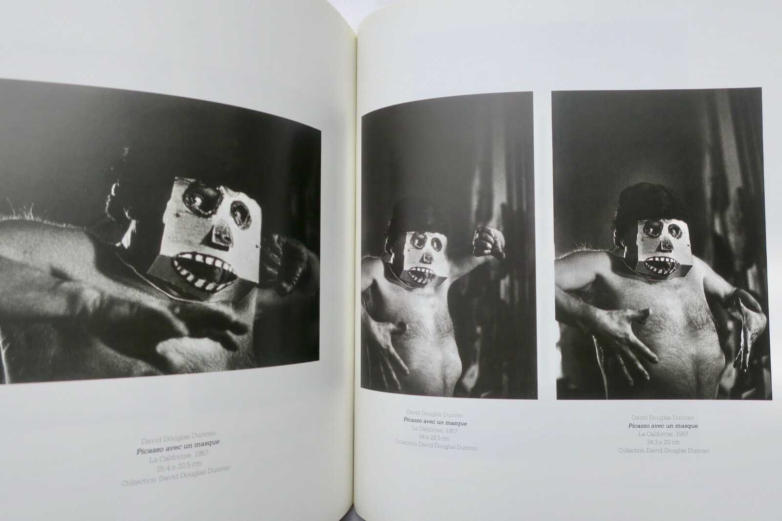 Exhibition catalog on Picasso and circus arts - Image 8