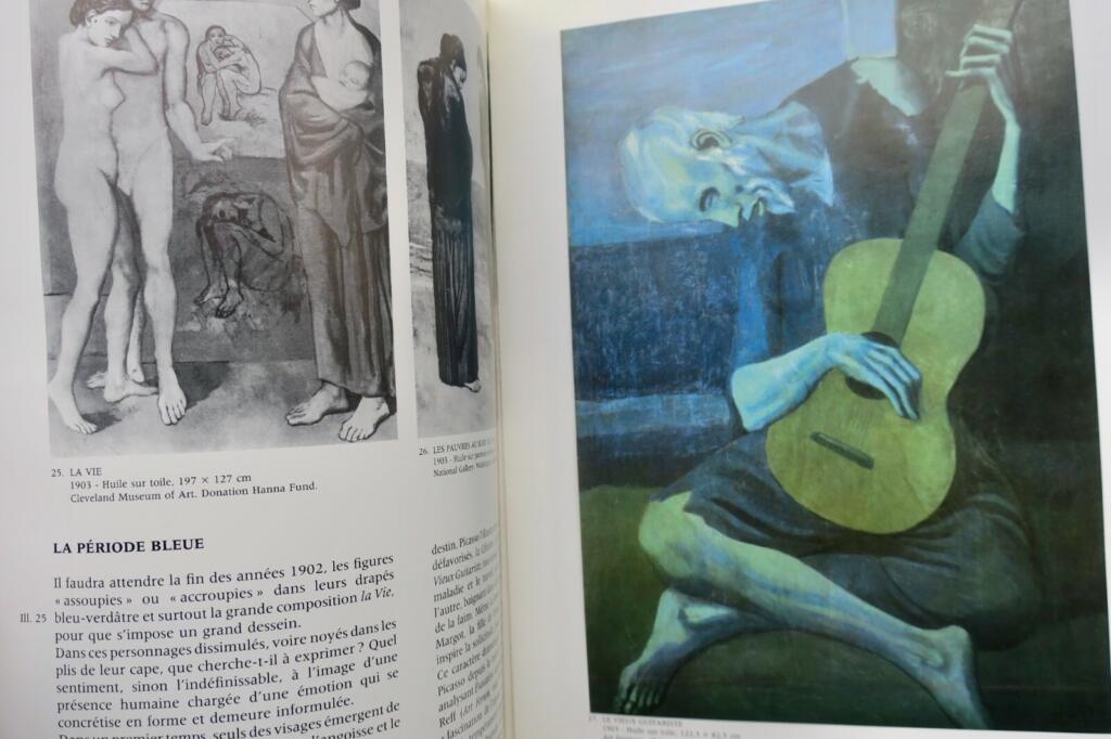 Picasso Pablo Picasso Boudaille/ Moulin