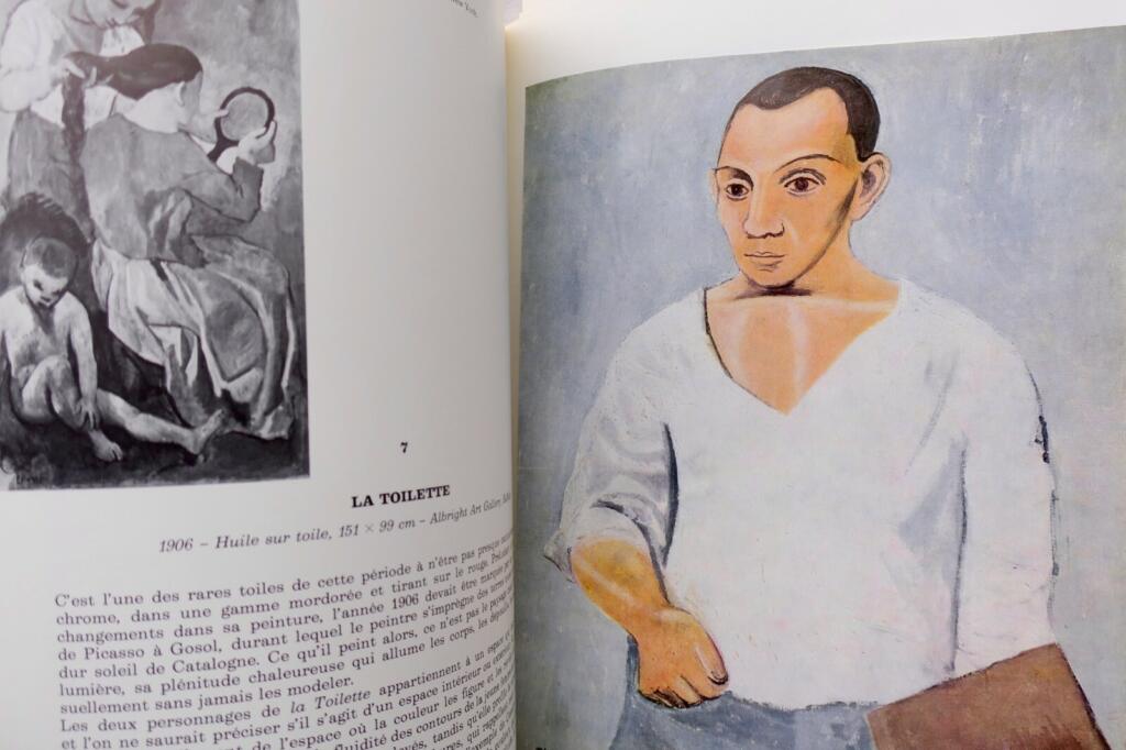 Picasso: Comprehensive monograph with essays and reproductions