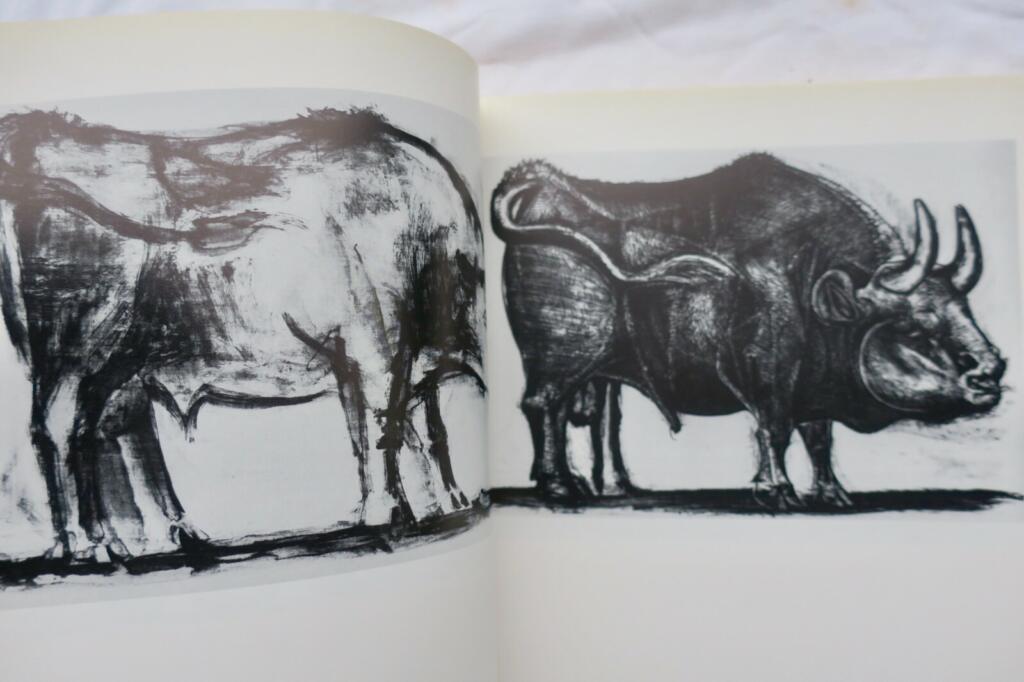 Die Lithographien von Pablo Picasso