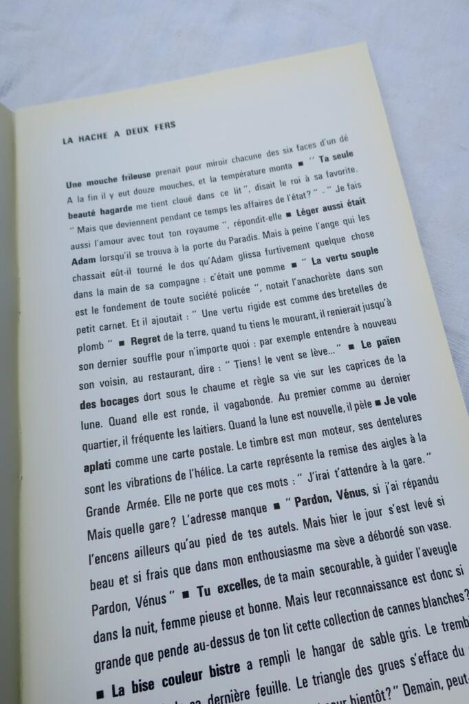 Essay by José Pierre