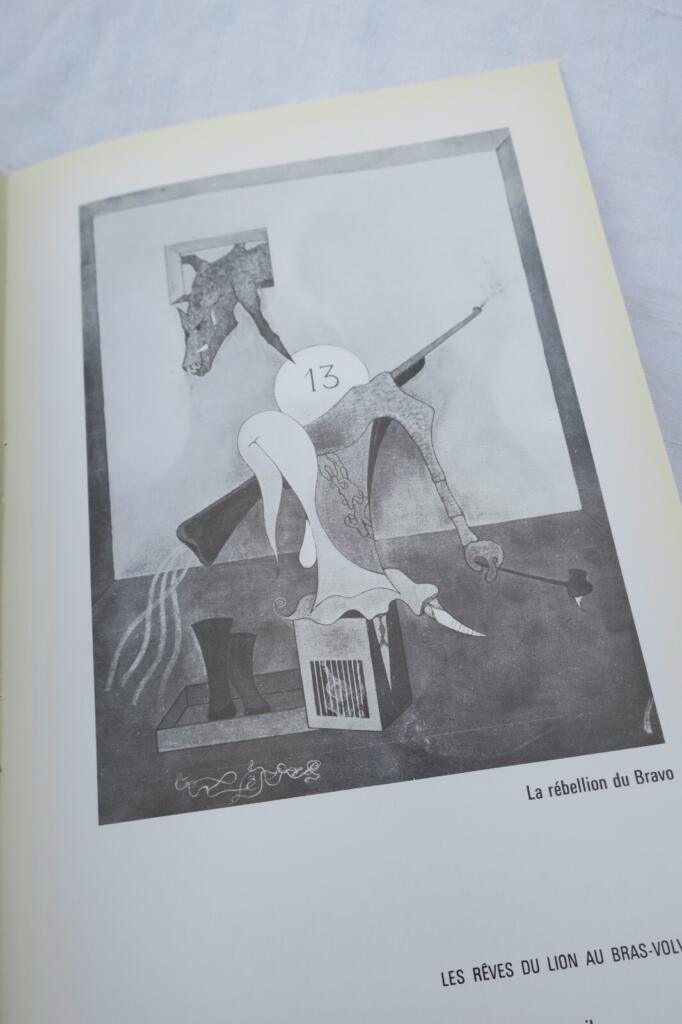 Essay by José Pierre