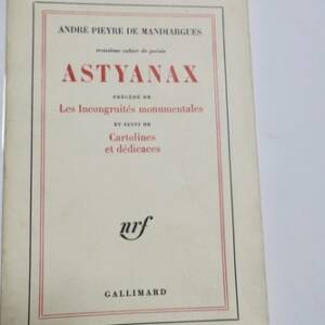 Astyanax: Poesie und Inkongruenzen