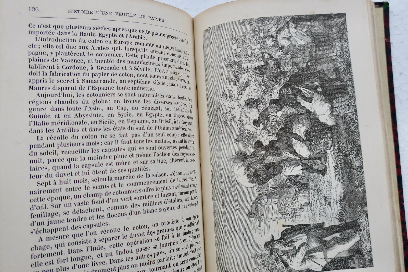 Geschichte eines Papierblattes - Image 8