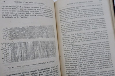 Geschichte eines Stücks Papiers
