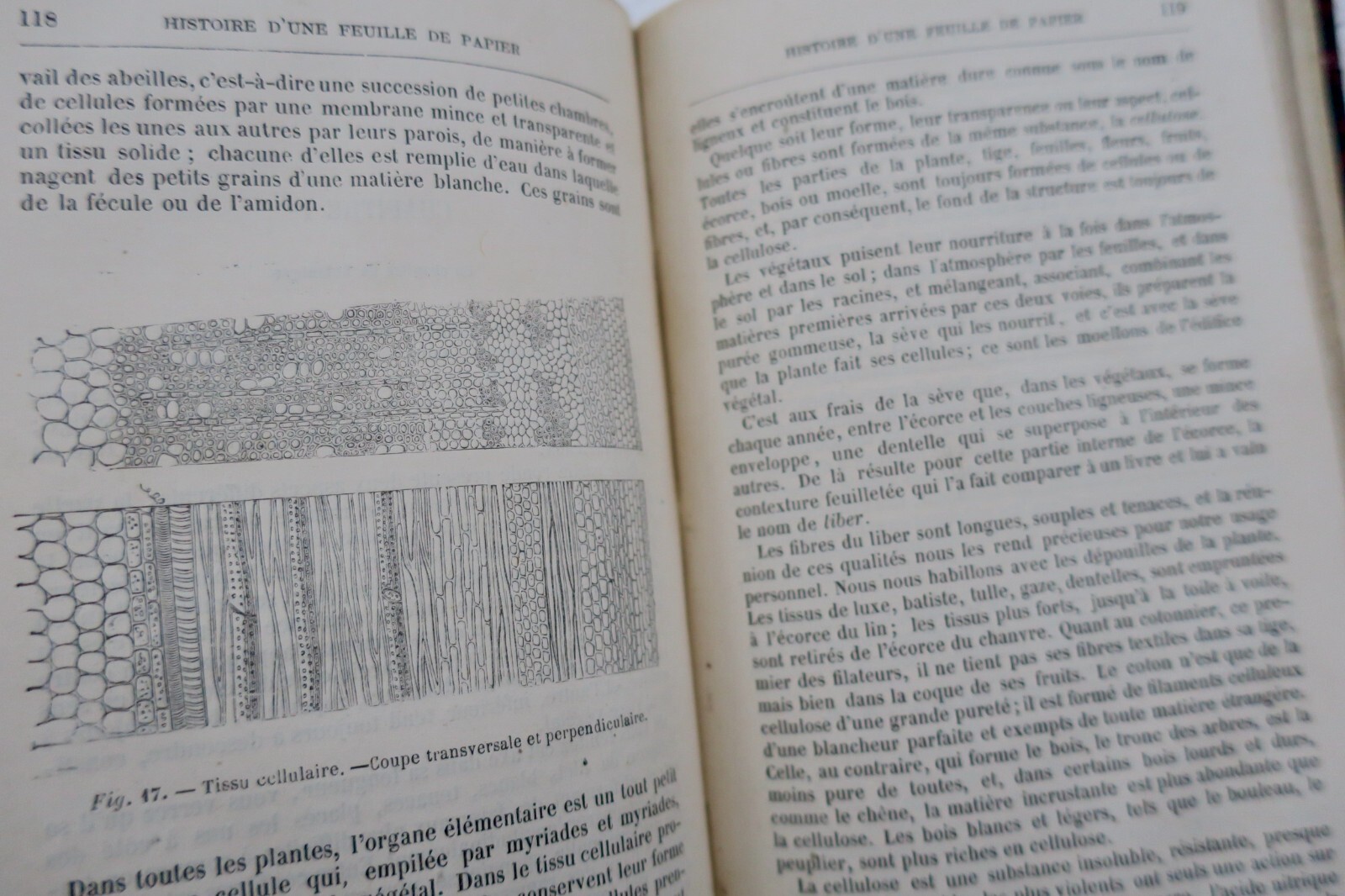 Geschichte eines Papierblattes - Image 3
