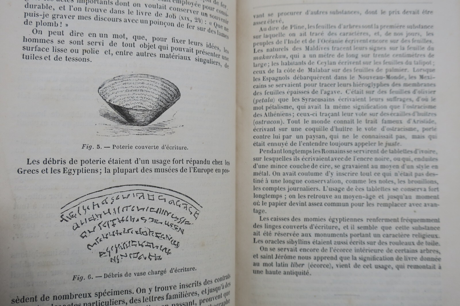 Geschichte eines Papierblattes - Image 7
