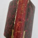 PIZZETTA Histoire d'une feuille de papier 1868
