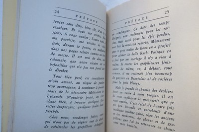 Pleasant Wisdom: Lyonnaise Maxims & Moral Reflections