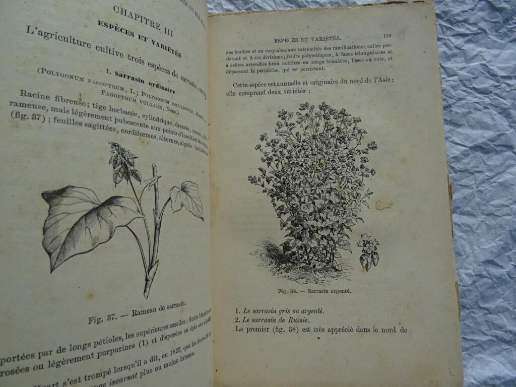 Plantes Industrielles & céréales