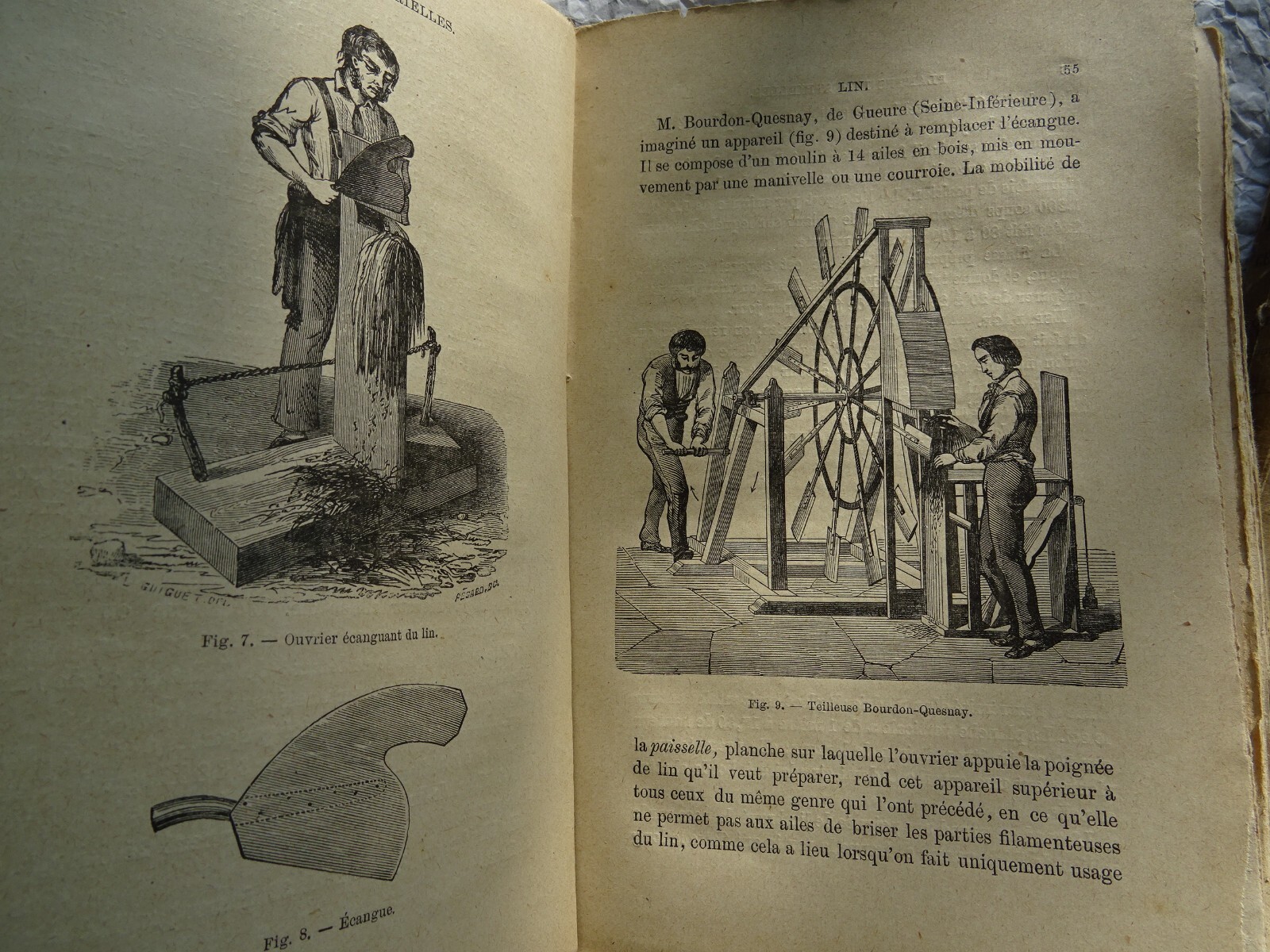 Plantes Industrielles & céréales – Image 4