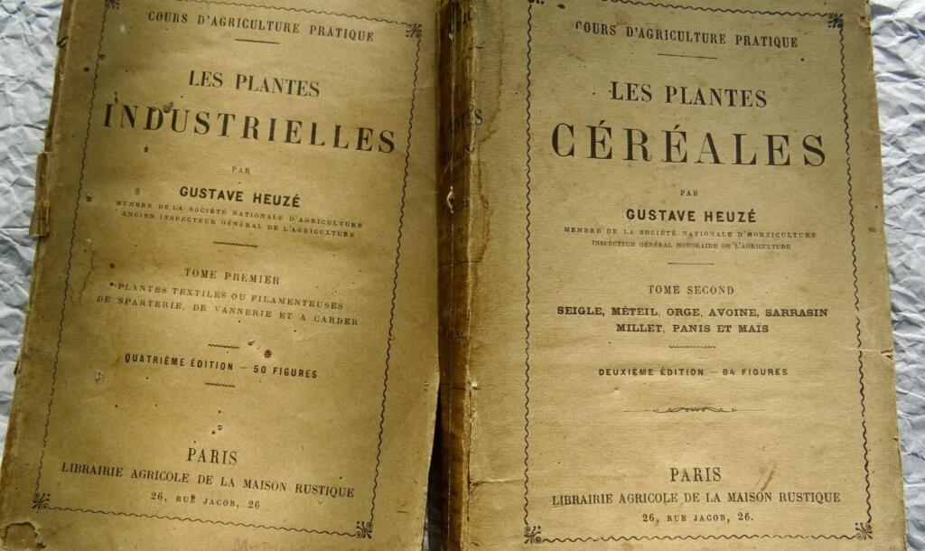 Plantes Industrielles & céréales