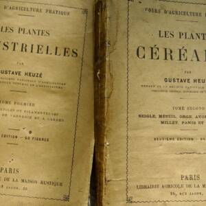 Plantes Industrielles & céréales