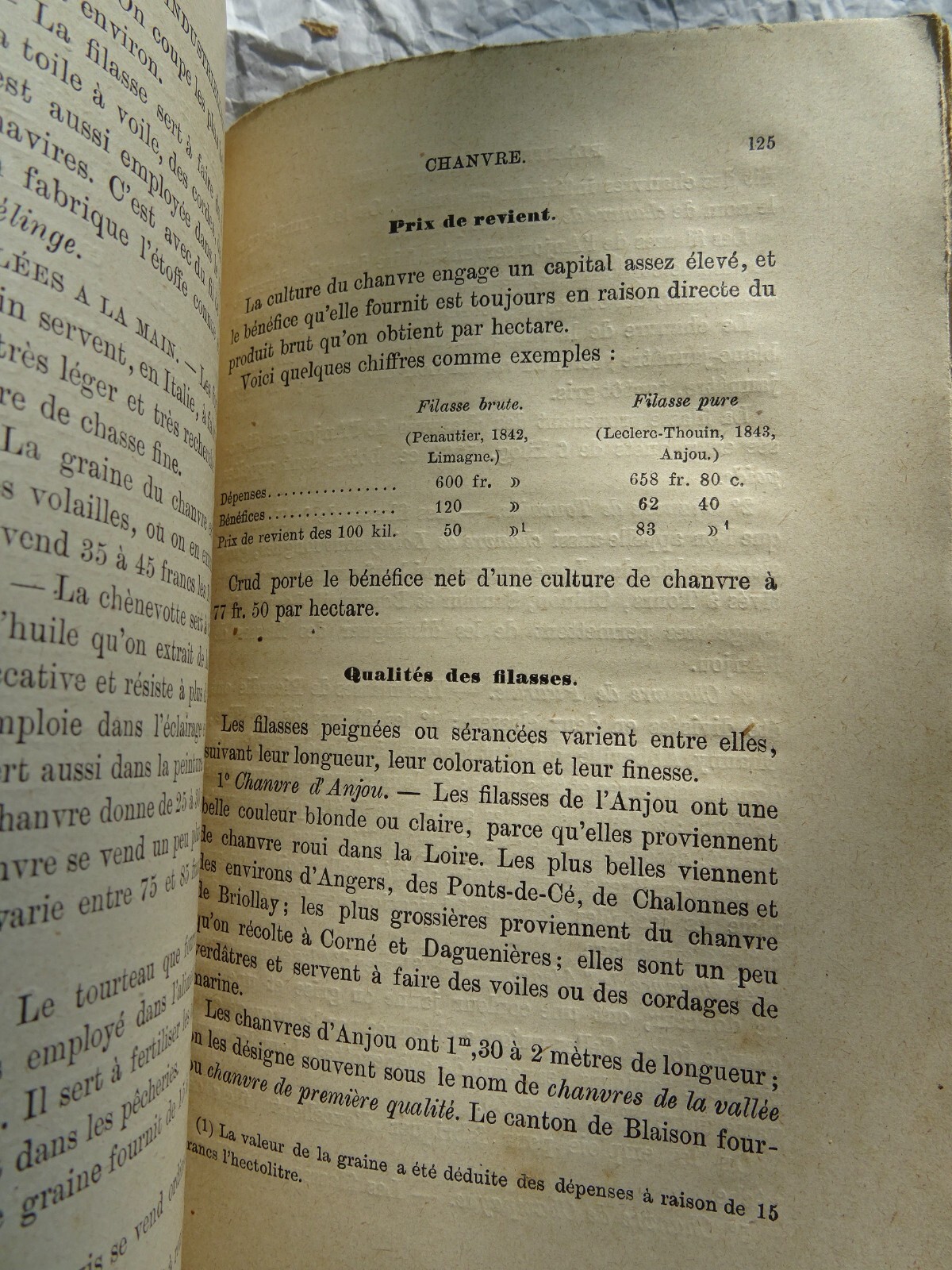 Plantes Industrielles & céréales – Image 3