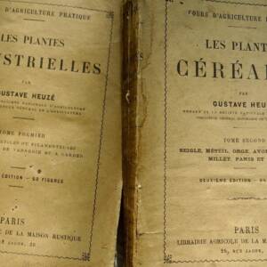 Plantes Industrielles & céréales