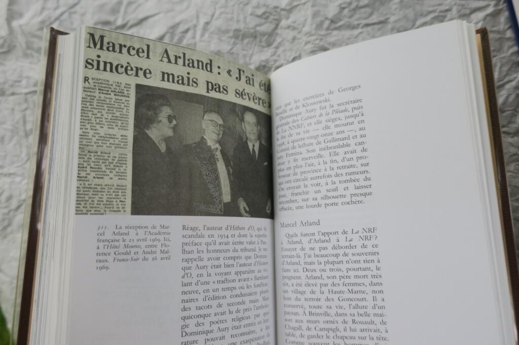Ein Jahrhundert französischer Literatur