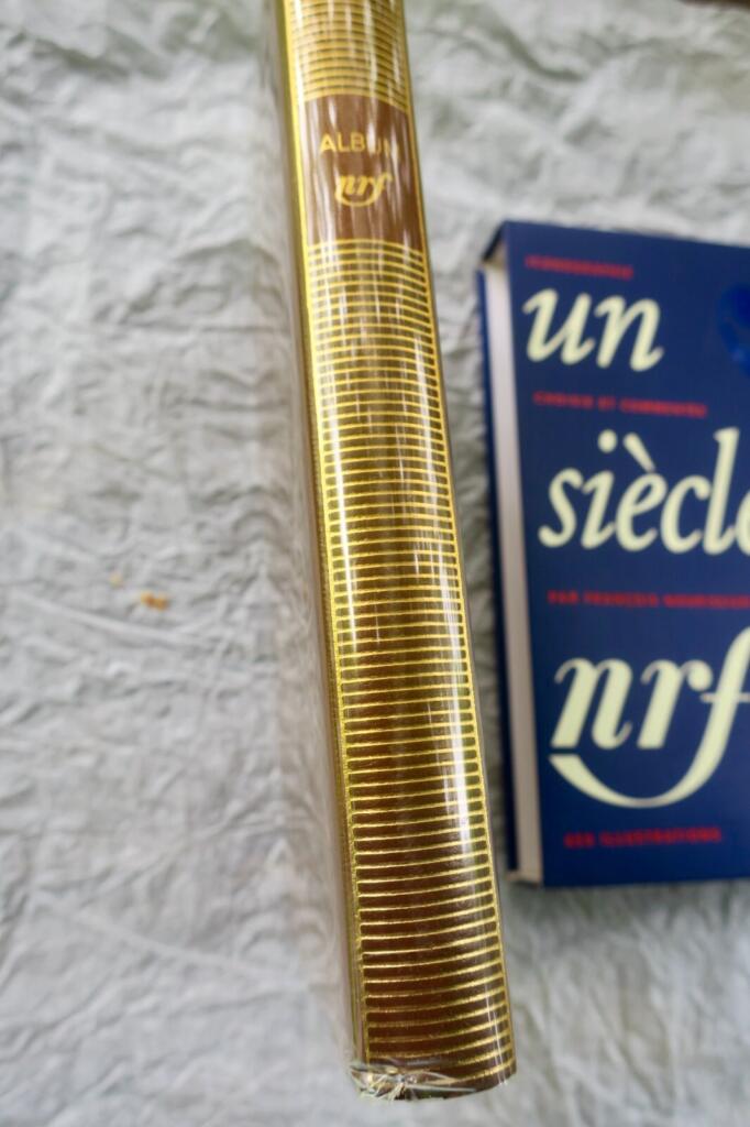 Ein Jahrhundert französischer Literatur