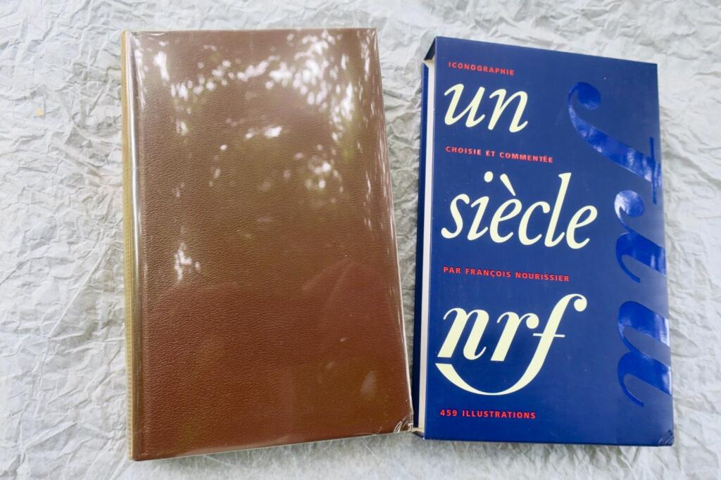 Ein Jahrhundert französischer Literatur