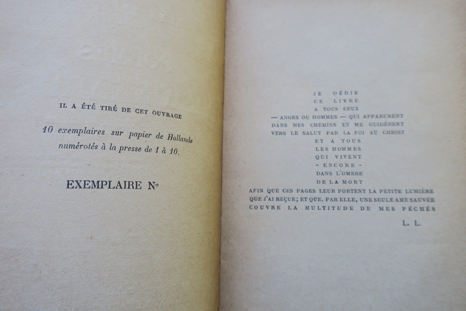 Visionäre Gedichte von Labèque Loÿs - Image 4