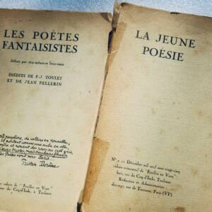 poètes fantaisistes, définis par eux-mêmes et leurs amis + la jeune poésie