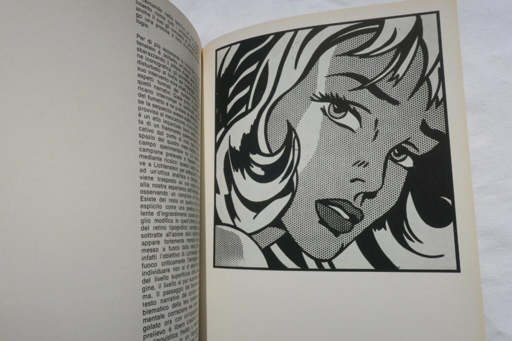 Pop Art in den USA: Künstlertagebücher