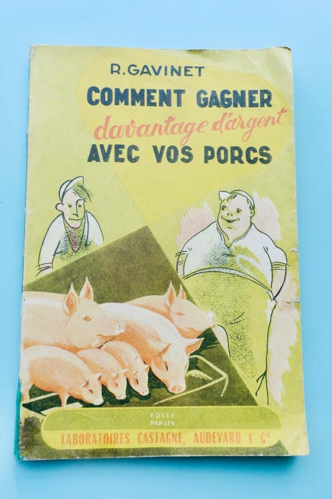 Profitable Pig Husbandry Guide