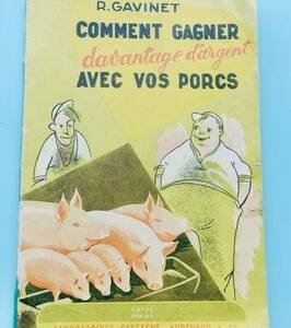 Porc Comment gagner davantage d'argent avec vos porcs